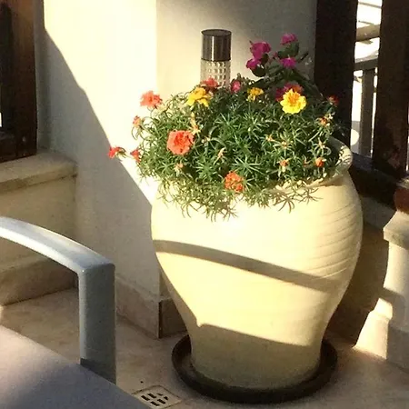 Daire Luxury 2 Bedroom With Large Balcony, Pool View And Free Wifi Peyia
